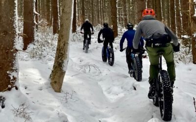 Winter Trail Riding